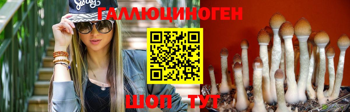 Галлюциногенные грибы ЛСД Железногорск